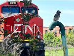 CN 3010 watches the Blue Jay.